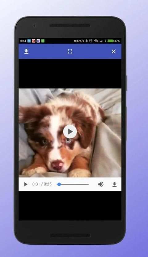 Download Manager For Facebook स्क्रीनशॉट 5