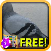 Pigeon Slots - Free