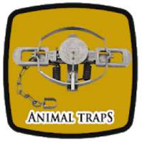 Animal Traps