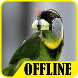 Suara Burung Takur Offline Free icon