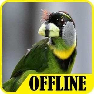 Suara Burung Takur Offline Free screenshot 1