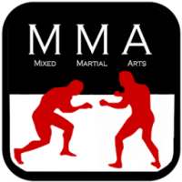 Top MMA Fight Techniques