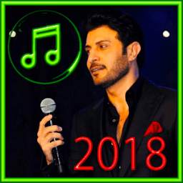 Majed Al Mohandes 1.0