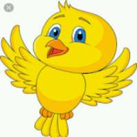 Crazy bird logo