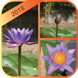 Collage Scrapbook Maker आइकन