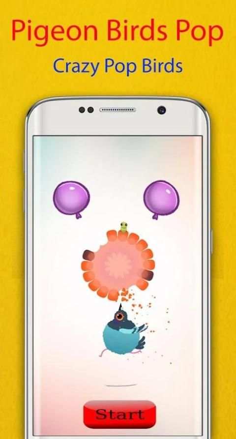 Pigeon Bird Pop screenshot 3