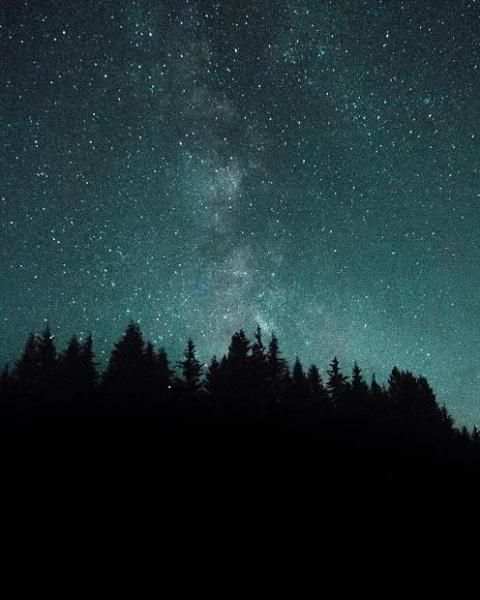 Unsplash screenshot 7