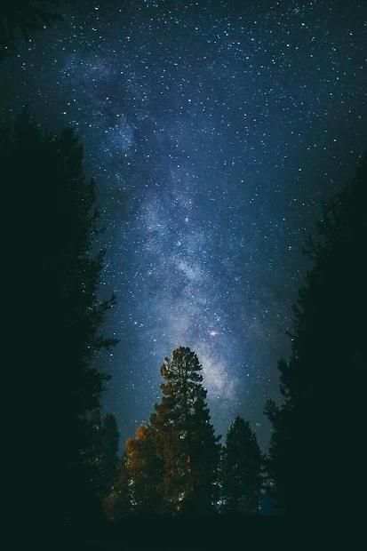 Unsplash screenshot 2