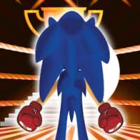 sonic Boxing Shadow