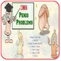 Common Penis Problems