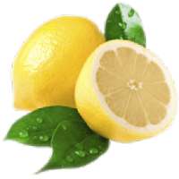 Lemons Uses and Benefits