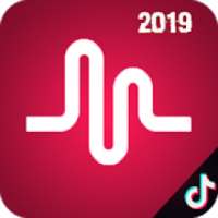 Tik tok including musically 2018 guide