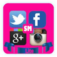 lite market 2019:lite for facebook,twitter..social
