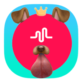 Filters for musically &amp; Effects Pro Music Snap आइकन