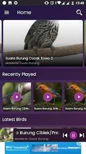 Bird Sounds - Free MP3 Download स्क्रीनशॉट 3