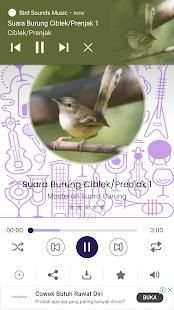 Bird Sounds - Free MP3 Download स्क्रीनशॉट 6
