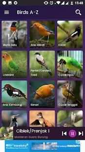Bird Sounds - Free MP3 Download स्क्रीनशॉट 5