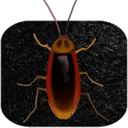 the cockroach icon