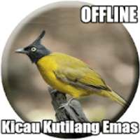 Suara Burung Kutilang Emas Mp3 on 9Apps