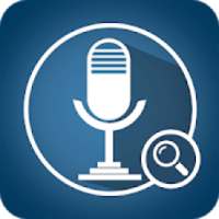 Voice Search : Voice Assistant