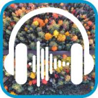 Relaxing sounds on 9Apps
