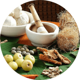 Gharelu Nuskhe 100+ आइकन