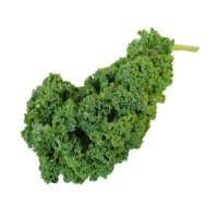 Kale For Health