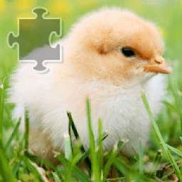 Birds Puzzle 1.0