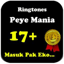 Ringtone PY Lucu 2.0