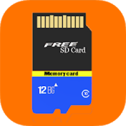 ikon 12 GB Free Memory Card