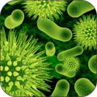 علاج الالتهابات البكتيرية on 9Apps