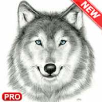 wolf Drawing