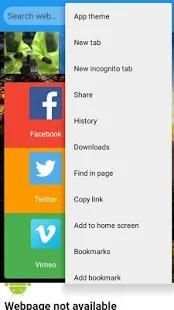b browser screenshot 2