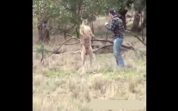 Funny Dubbing Voice: Video Madlipz screenshot 2