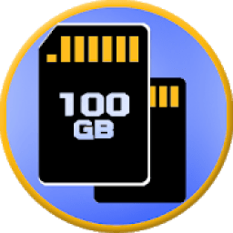 ikon +100GB Memory card