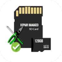 Repair Memory Card