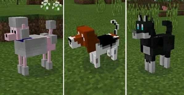 My Dogs Mod for MCPE screenshot 3