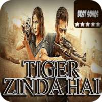 Best Tiger Zinda Hai Songs