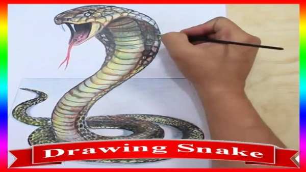 How To Draw Snake Step by Step screenshot 1