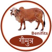 गौमुत्र के फायदे