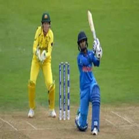 Cricket Bowling Video Analyzer screenshot 2