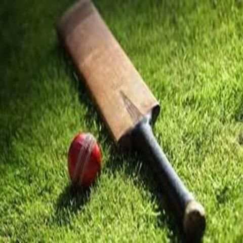 Cricket Bowling Video Analyzer screenshot 1