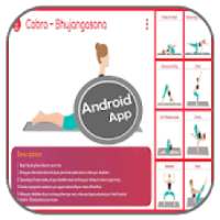 Yoga Exercises for Beginners on 9Apps