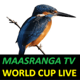 BTV LIVE FIFA WORLD CUP 2018 आइकन