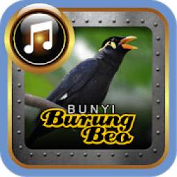 BunyiBurungBeo 1.0