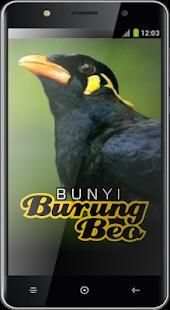 Bunyi Burung Beo screenshot 1