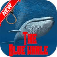Blue Whale Game