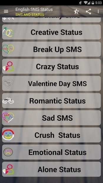 English SMS and Status screenshot 7