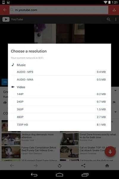 |S‍n‍a‍p‍T‍u‍b‍e‍| screenshot 3