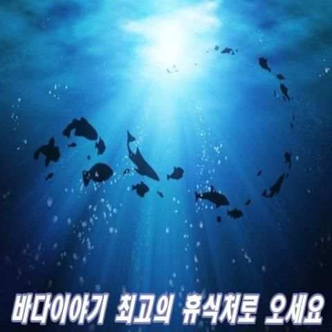 바다이야기 screenshot 2
